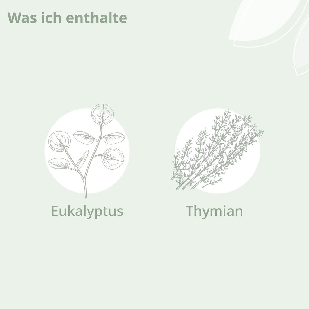 Darstellung der Inhaltsstoffe: Eukalyptus und Thymian
