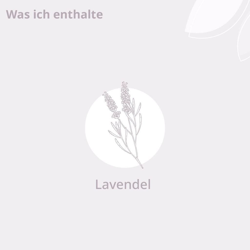 Darstellung der Inhaltsstoffe: Lavendel