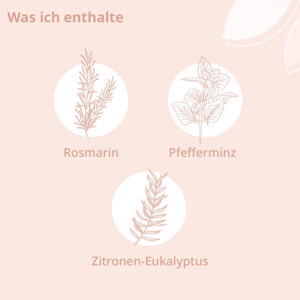 Darstellung der Inhaltsstoffe: Rosmarin, Pfefferminz, Zitronen-Eukalyptus